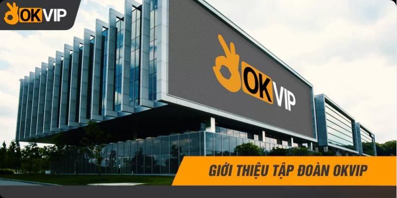 Giới thiệu OKVIP và mục tiêu của tập đoàn